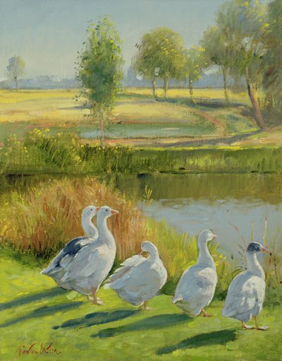 Gooseguard 作者 Timothy Easton